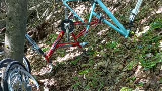 Stolen Bikes