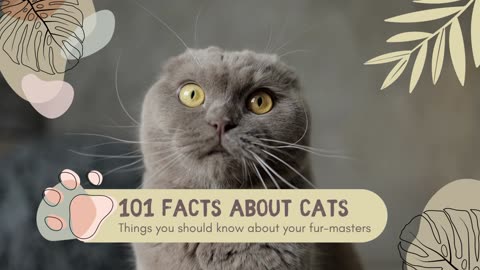 101 FACTS About CATS That May SURPRISE You 🐱🐾