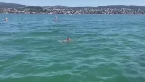 You'll Lose Count Of How Many Times This Guy Did A Backflip Before Going Into The Water!