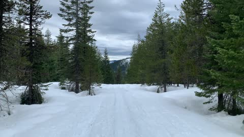 Gorgeous Willamette National Forest – Potato Hill Sno-Park – Central Oregon – 4K