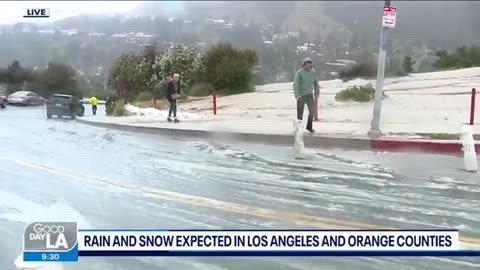 Snow, hail fall near Hollywood sign during coldest storm in years, reporter giddy