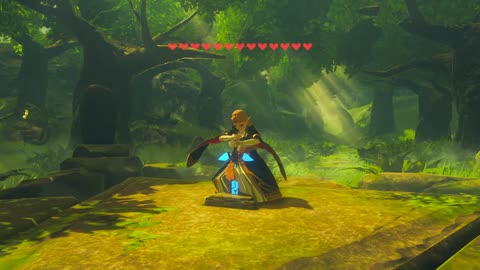 THE LEGEND OF ZELDA BREATH OF THE WILD ZELDA TAKES THE HERO BLADE