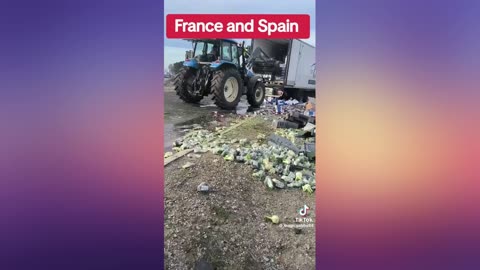 France & Spain - Food Shortages