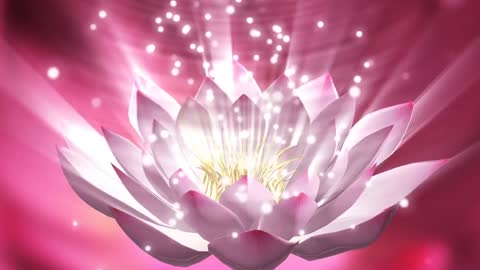 Dreamy cool style pink lotus particle background video