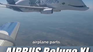 Airbus Beluga XL