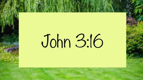 John 3:16 (Please share)