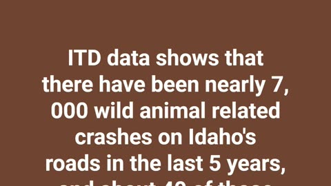 Idaho Wildlife Overpass Underway #Idaho #Wildlife #Roads #cars #overpass