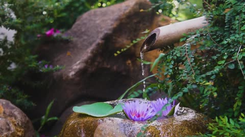 Find Inner Peace with Spa Music & Running Water Sounds