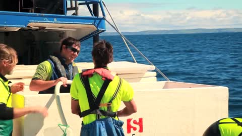 Careers in the Australian Southern Bluefin Tuna Industry