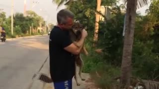 The man that rescues dogs