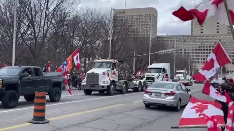 The Freedom Convoy from Quebec City Received a Warm Welcome in Ottawa