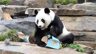 Zoo animals enjoyEaster-themed treats