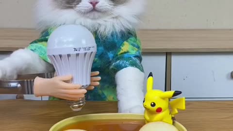 cat funny movment video #cat #trending #viral #animal #funny #fun #