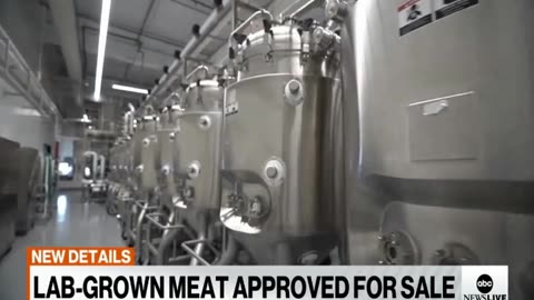 Lab Grown Meat Approved for Sale