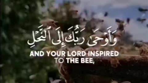 Surah An-Nahl Ayat 68-69