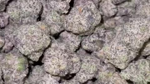 Space balls $800 pound | https://t.me/jwh3mmc 🥦Buds Available🥦 🥦🥦Buds🥦ALL STRAINS
