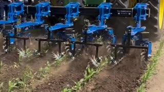 Swinging Spider with Finger Weeders