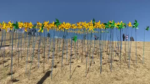 Beautiful windmills are flying in the wind