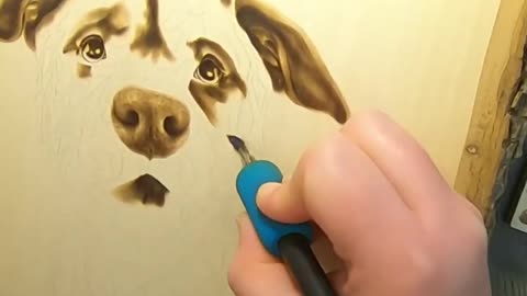 Draw a picture of a dog Ⅳ