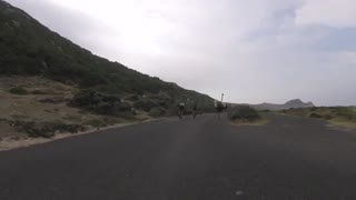 Cyclists Get Chased By An Ostrich In Cape Town