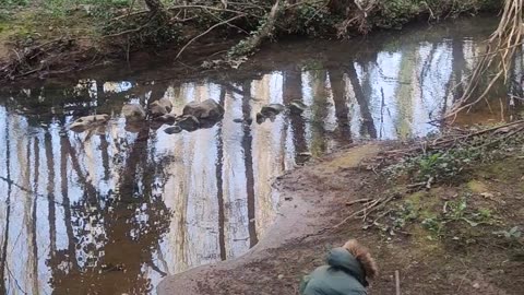 Man Jumps Into Knee-Deep Mud