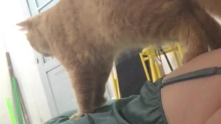 Kitty Gives Back Massages after Hard Working Days