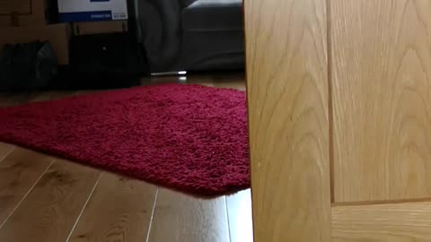 Baby plays peekaboo to try and get parents attention.