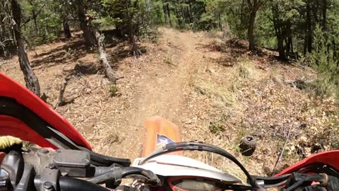 Motorcycle trail ride in the pines