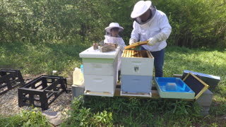 First hive check of 2021