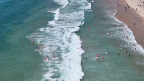 Drone 4K, Nippers at the Nobby’s Beach Surf Life Saving Club