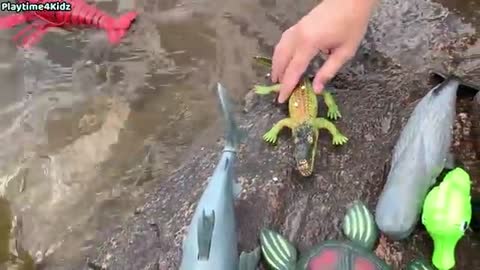 OMG Toy grade Testing under water Sea Animal This Summer at the Shore