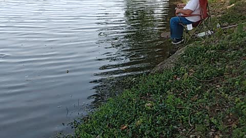 Caught Some Bluegills Today