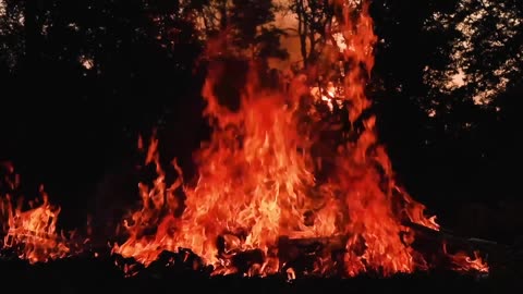 🔥 Forest Fire - Ambient Music Video