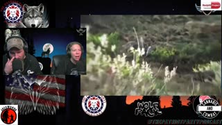 The Patriot Party Podcast: Julian Date 2460342 I Live at 6pm EST