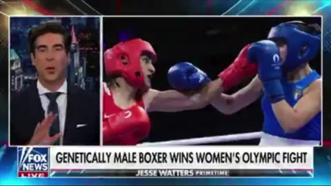 Vigilant Fox on X : Men Have 162% More Punching Power Than Women