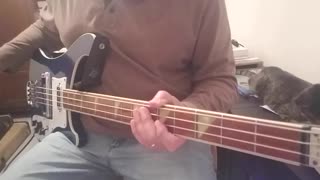 Kim Wilde - Kids In America Bass Cover