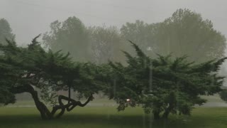 21 seconds of rainfall