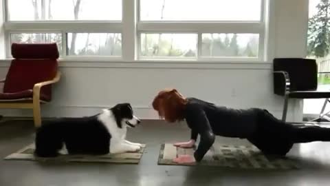 DOG DOES YOGA WITH OWNER : TALENTED PETS