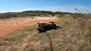 Elsa´s little Adventure | Exploring the beautiful Coast of Otranto | Italy | GoPro Hero10 Black | 4K