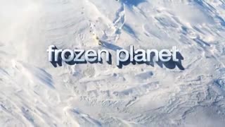 Frozen Planet: Journey to the South Pole