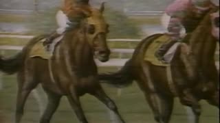 Circa 1988 - The Racing Horse Art of Richard Stone Reeves