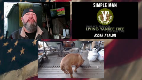 Living Yankee Free is LIVE