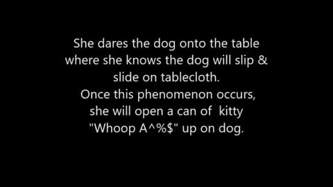 Cat vs. Dog Who Will Win?