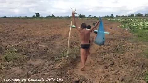 Wow! Amazing Brothers Catch Many Snakes Using Water Pipe Trap - How To Catch Snake With Trap