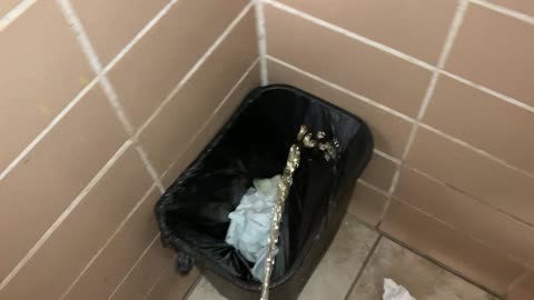 corner trash urination