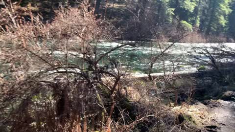 The AMAZING Metolius River – Central Oregon