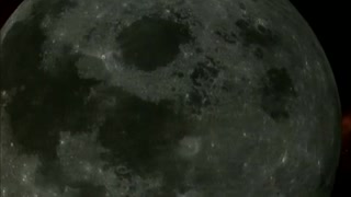 China consigue que una semilla de algodón brote en la Luna por primera vez