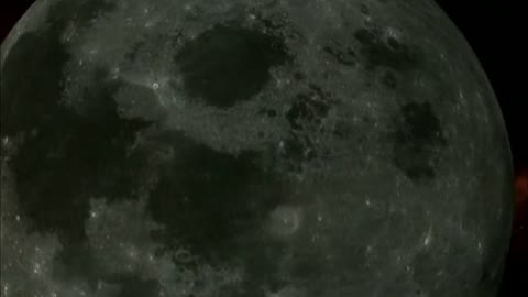 China consigue que una semilla de algodón brote en la Luna por primera vez