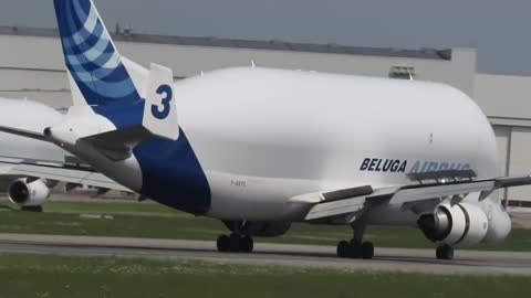 Airbus Beluga landing and takeoff at Finkenwerder, EDHI-4