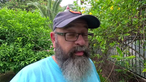 5 August 2024 Vlog 🇳🇮 New Office Chair